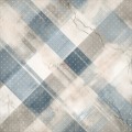 CC-C81-TG-09_16.jpg